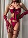 Комплект еротичної білизни з портупеями &ldquo;Ruby Desire&rdquo; 233 фото 3